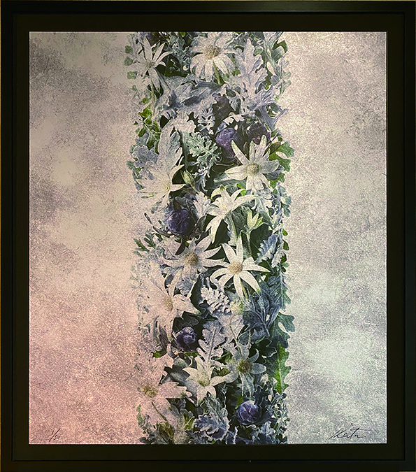 title「雪中花」