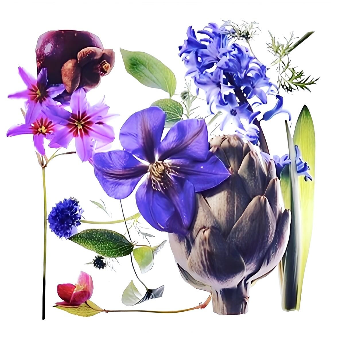 #keitakawasaki #hanagraphicart #artwork 
#nature #flowers
