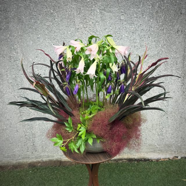 #keitakawasaki #flowerarrangment #artwork 
#flowerartist #nature