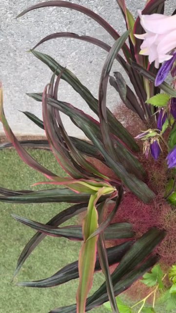 #keitakawasaki #flowerartist #naturelover #flowerarrangement #flowerstagram