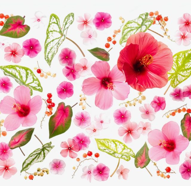 #keitakawasaki #hanagraphicart #artwork 
#flowerartist #tropicalflowers