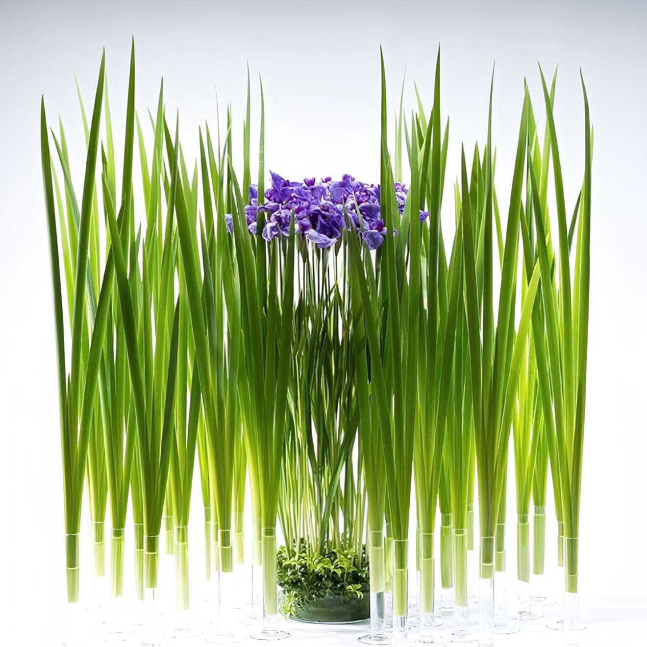 #keitakawasaki #flowerartist #artwork 
#nature #green
