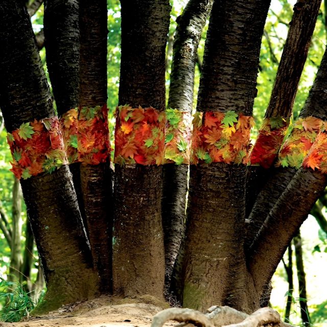 立体二次元　紅葉
#keitakawasaki #flowerartist #mature #artwork #autumnleaves