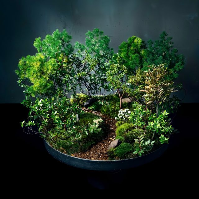 癒しの散歩道
A Walk Through Serenity
#keitakawasaki #flowerartist #nature #artwork 
#diorama