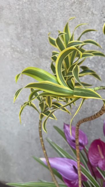 #keitakawasaki #flowerarrangment #tropical #flowerdesign #flowerartist