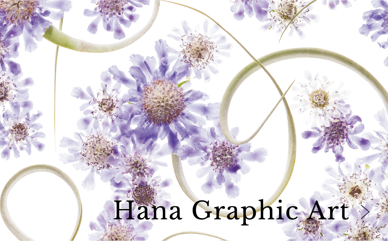 Hana Graphics